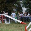foire-haricots 2011-09-17et18